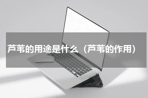 芦苇的用途是什么（芦苇的作用）