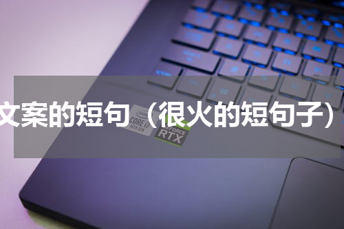 文案的短句（很火的短句子）