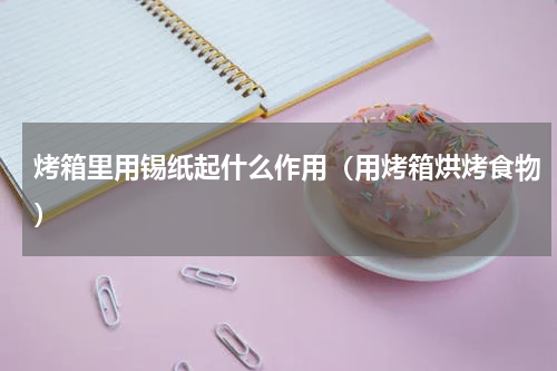 烤箱里用锡纸起什么作用（用烤箱烘烤食物）