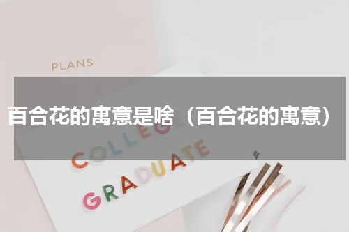 百合花的寓意是啥（百合花的寓意）