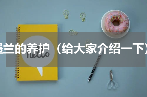 墨兰的养护（给大家介绍一下）