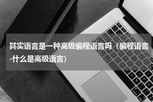 其实语言是一种高级编程语言吗（编程语言-什么是高级语言）
