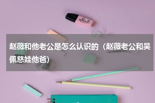 赵薇和他老公是怎么认识的（赵薇老公和吴佩慈娃他爸）