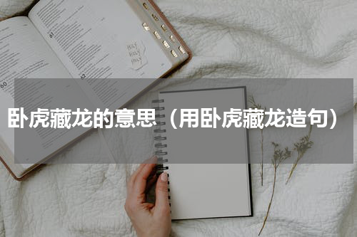 卧虎藏龙的意思（用卧虎藏龙造句）