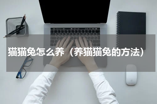 猫猫兔怎么养（养猫猫兔的方法）
