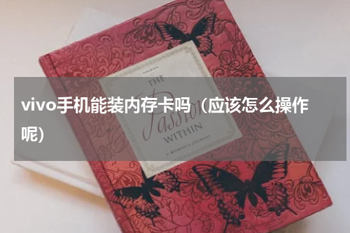 vivo手机能装内存卡吗（应该怎么操作呢）