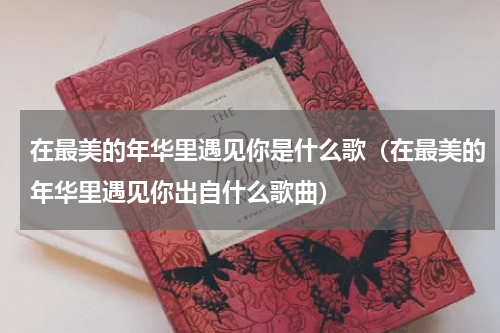 在最美的年华里遇见你是什么歌（在最美的年华里遇见你出自什么歌曲）
