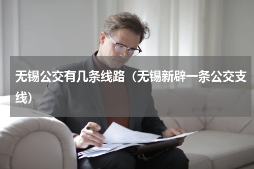 无锡公交有几条线路（无锡新辟一条公交支线）