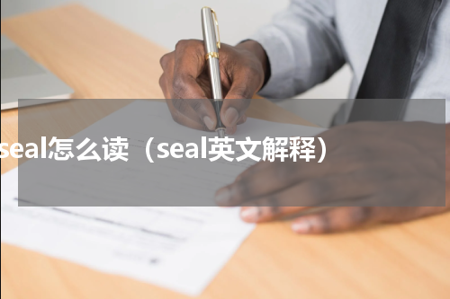 seal怎么读（seal英文解释）
