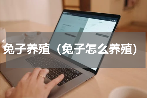 兔子养殖（兔子怎么养殖）