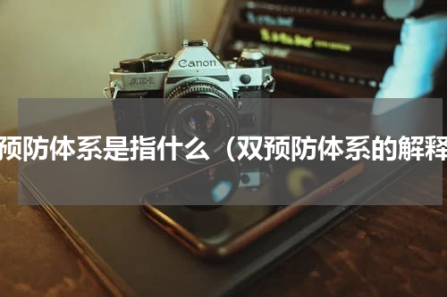 双预防体系是指什么（双预防体系的解释）