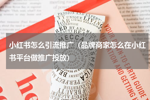 小红书怎么引流推广（品牌商家怎么在小红书平台做推广投放）