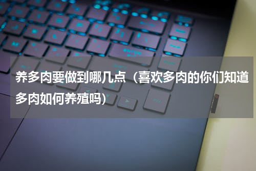 养多肉要做到哪几点（喜欢多肉的你们知道多肉如何养殖吗）