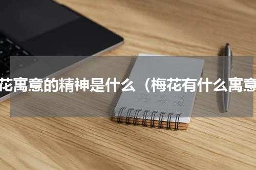 梅花寓意的精神是什么（梅花有什么寓意）