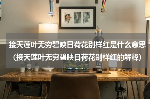 接天莲叶无穷碧映日荷花别样红是什么意思（接天莲叶无穷碧映日荷花别样红的解释）