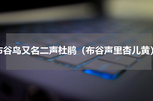 布谷鸟又名二声杜鹃（布谷声里杏儿黄）