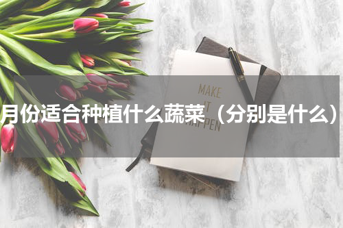 8月份适合种植什么蔬菜（分别是什么）