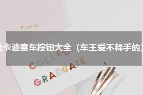 杜卡迪赛车按钮大全（车王爱不释手的）