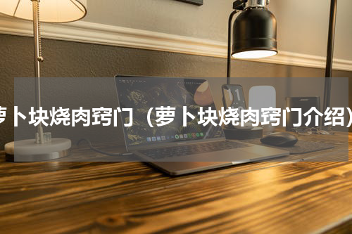 萝卜块烧肉窍门（萝卜块烧肉窍门介绍）