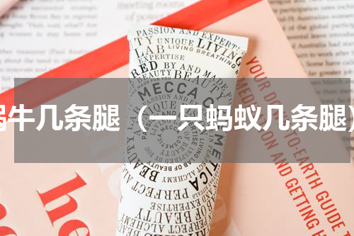 蜗牛几条腿（一只蚂蚁几条腿）