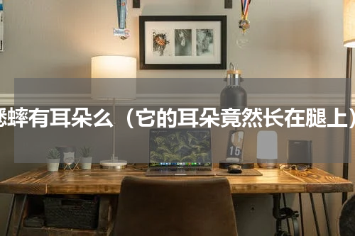 蟋蟀有耳朵么（它的耳朵竟然长在腿上）