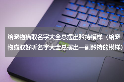 给宠物猫取名字大全总摆出矜持模样（给宠物猫取好听名字大全总摆出一副矜持的模样）