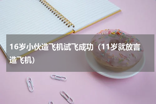 16岁小伙造飞机试飞成功（11岁就放言造飞机）