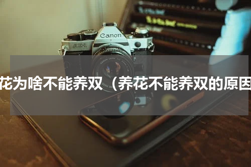 养花为啥不能养双（养花不能养双的原因）