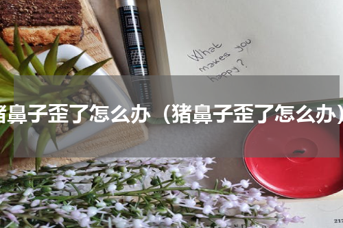 猪鼻子歪了怎么办（猪鼻子歪了怎么办）