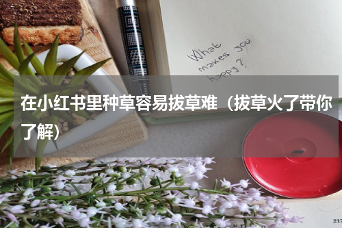 在小红书里种草容易拔草难（拔草火了带你了解）
