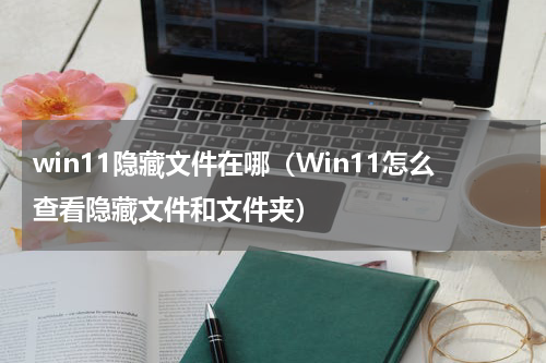 win11隐藏文件在哪（Win11怎么查看隐藏文件和文件夹）