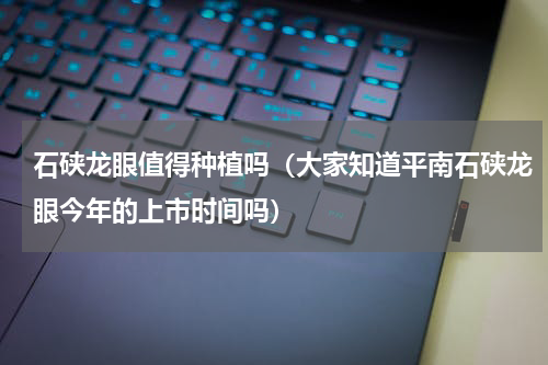 石硖龙眼值得种植吗（大家知道平南石硖龙眼今年的上市时间吗）