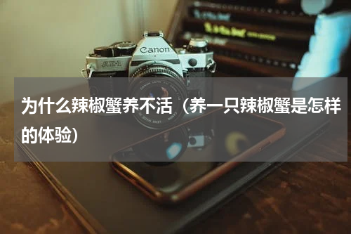 为什么辣椒蟹养不活（养一只辣椒蟹是怎样的体验）