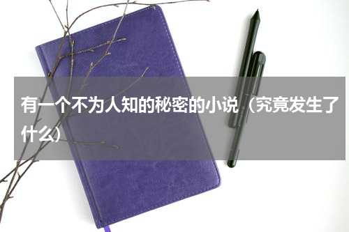 有一个不为人知的秘密的小说（究竟发生了什么）