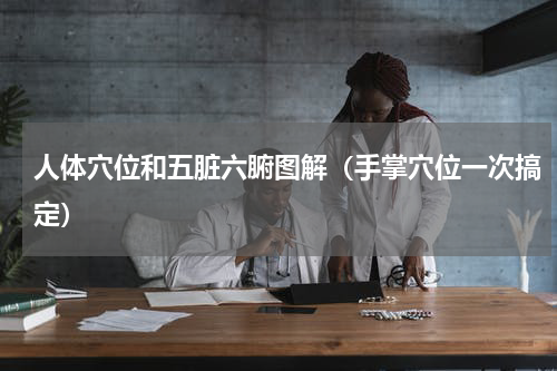 人体穴位和五脏六腑图解（手掌穴位一次搞定）