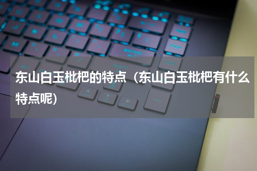 东山白玉枇杷的特点（东山白玉枇杷有什么特点呢）