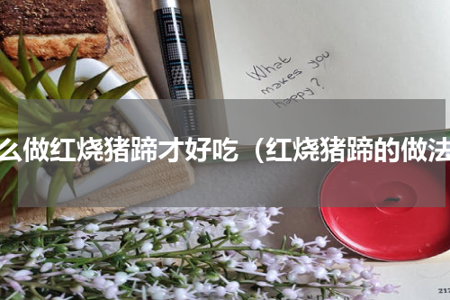 怎么做红烧猪蹄才好吃（红烧猪蹄的做法）