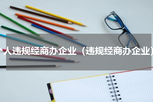 个人违规经商办企业（违规经商办企业）
