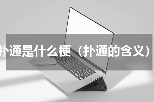 扑通是什么梗（扑通的含义）