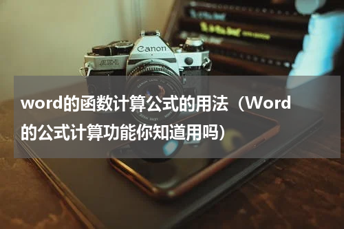 word的函数计算公式的用法（Word的公式计算功能你知道用吗）