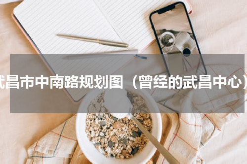 武昌市中南路规划图（曾经的武昌中心）