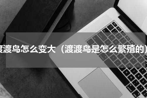 渡渡鸟怎么变大（渡渡鸟是怎么繁殖的）