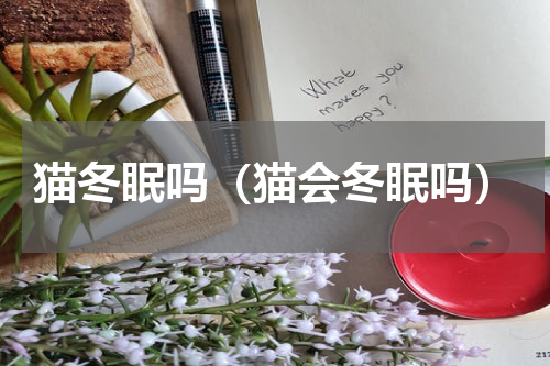 猫冬眠吗（猫会冬眠吗）