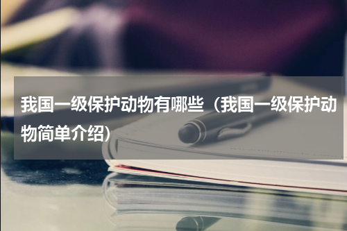 我国一级保护动物有哪些（我国一级保护动物简单介绍）