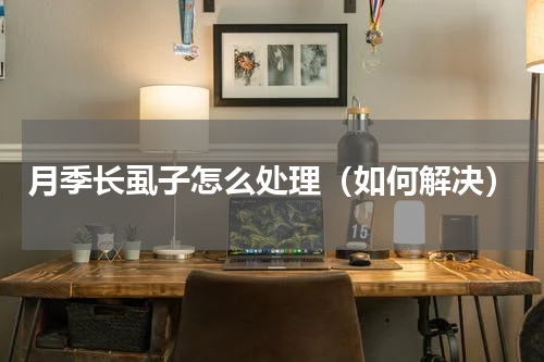 月季长虱子怎么处理（如何解决）