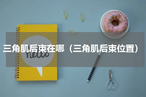 三角肌后束在哪（三角肌后束位置）