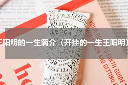 王阳明的一生简介（开挂的一生王阳明）