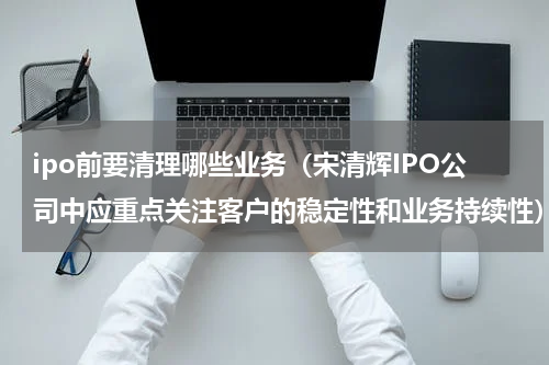 ipo前要清理哪些业务（宋清辉IPO公司中应重点关注客户的稳定性和业务持续性）