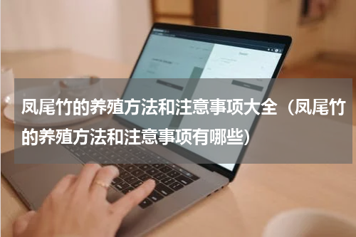 凤尾竹的养殖方法和注意事项大全（凤尾竹的养殖方法和注意事项有哪些）