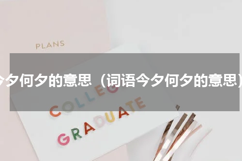 今夕何夕的意思（词语今夕何夕的意思）